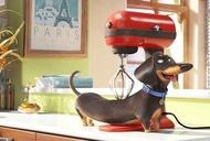 Фильм'Секреты домашних животных' - кадр 1