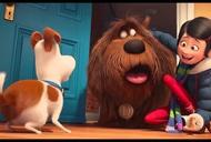 Фильм'Секреты домашних животных' - кадр 3