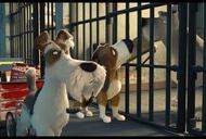 Фильм'Большой побег' - кадр 3