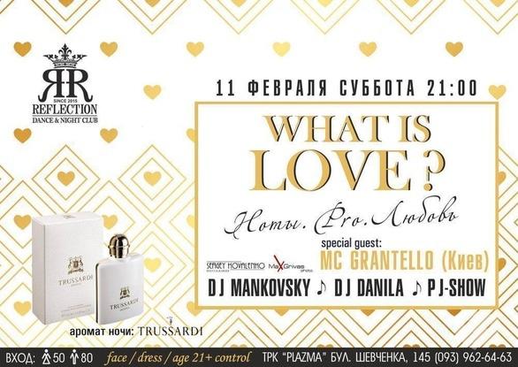 Вечеринка - Вечеринка в преддверии дня Влюбленных 'WHAT IS LOVE?'
