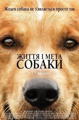 Фильм - Жизнь и цель собаки