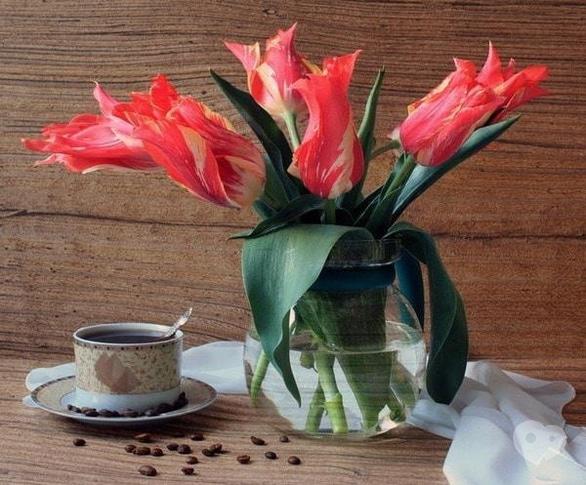 Вечірка - 129-е засідання 'Чашка кави. Че'