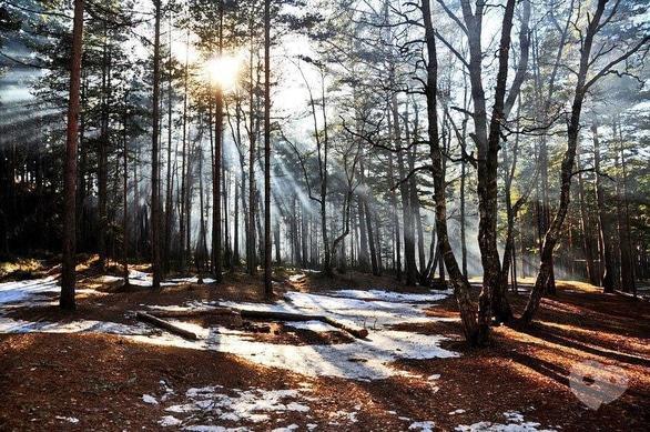 Спорт, відпочинок - Весняний похід