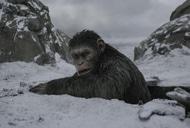 Фильм'Война за планету обезьян' - кадр 2