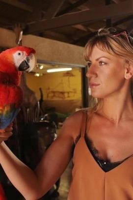 Фільм - Райський острів Кюрасао в Карибському морі і Шрі-Ланка: поради українським туристам