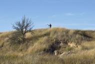 Фильм'Припутни' - кадр 3