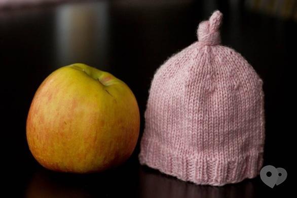 Обучение - Мастер-класс 'Чудо носочки и теплые шапочки для торопыжек'