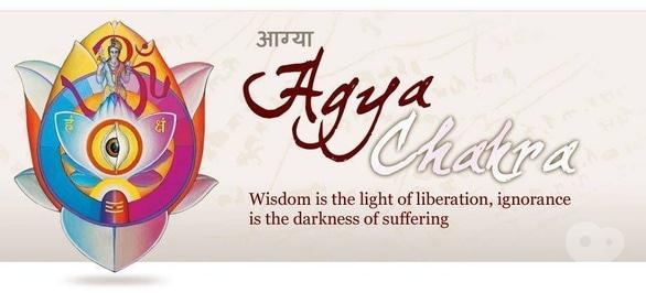 Спорт, відпочинок - Семінар системи 'Йога в повсякденному житті'