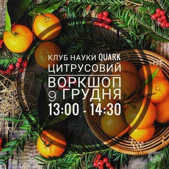 Обучение - Цитрусовый воркшоп для юного кварка