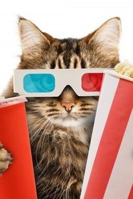 Фильм - КотоКиноВечера в 'Cat Cafe'