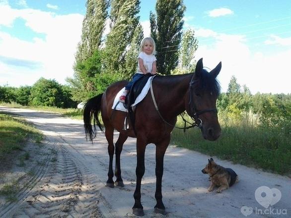 PEGAS - Чи потрібні коні в житті моєї дитини? 