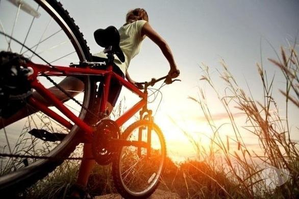 Спорт, отдых - Велопрогулка 