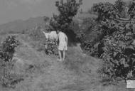 Фильм'Просмотр фильма "Голый остров" 1960' - кадр 1