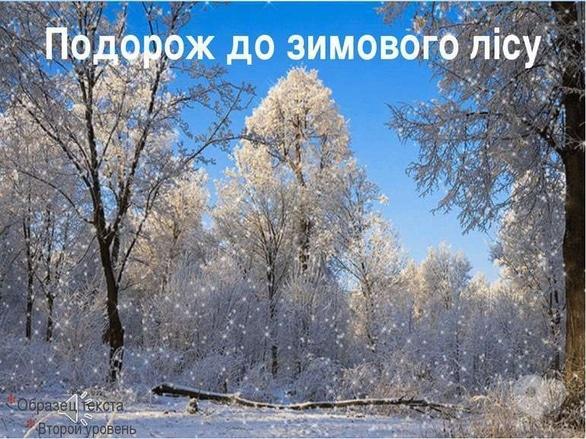 Навчання - Інтерактивна екскурсія 'Як зимують дерева'