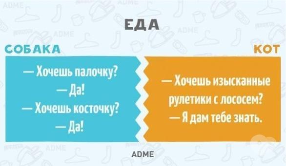 Навчання - Лекція 'Зоопсихологія або як думає ваш вихованець'