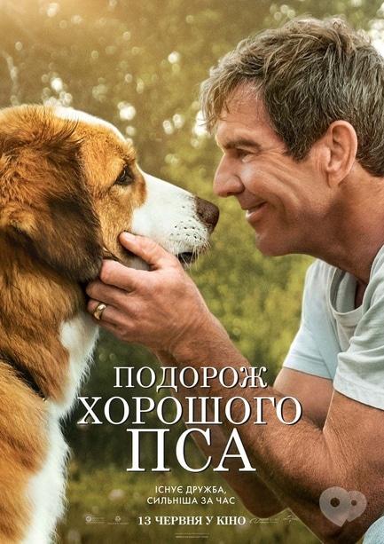 Фильм - Путешествие хорошего пса