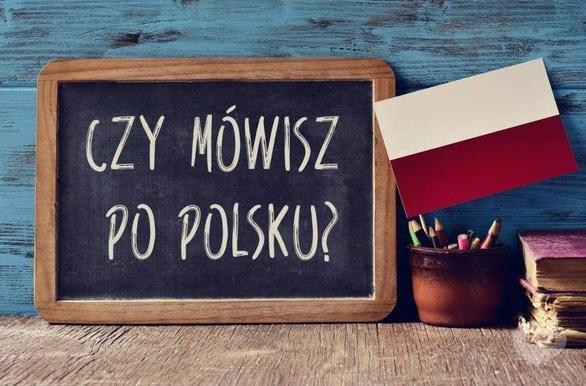 Обучение - OASIS Polski Funclub