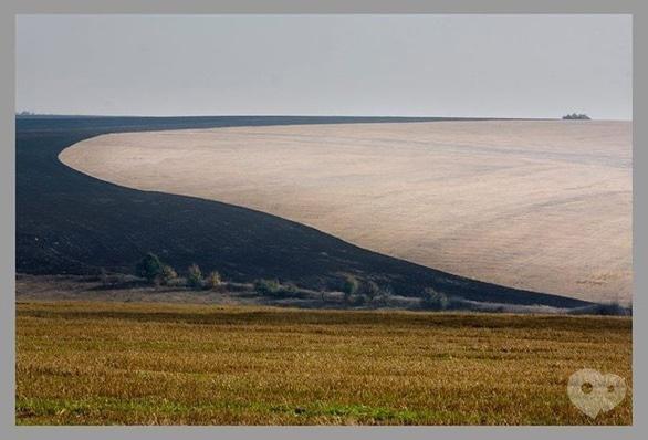Навчання - Майстер-клас 'Як красиво сфотографувати звук від падіння сніжинки'