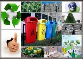 Мастер-класс "Переработка органического мусора в домашних условиях"