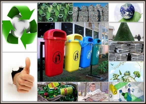 Обучение - Мастер-класс 'Переработка органического мусора в домашних условиях'