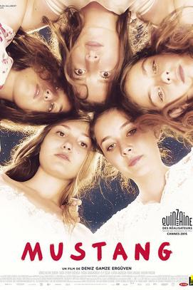 Фильм - Просмотр фильма 'Мустанг' режиссера Дениз Гамза Ергювен