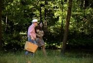 Фильм'Фестиваль Рифкина' - кадр 3