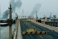 Фото 'Пташка у клітці' - кадр 2 Фільм'Пташка у клітці' - кадр 2