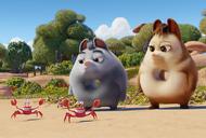 Фильм'Пончары: Глобальное закругления' - кадр 1