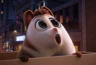 Фильм'Пончары: Глобальное закругления' - кадр 2