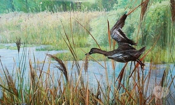 Навчання - Екскурсія-демонстрація 'На крилах весну принесли'