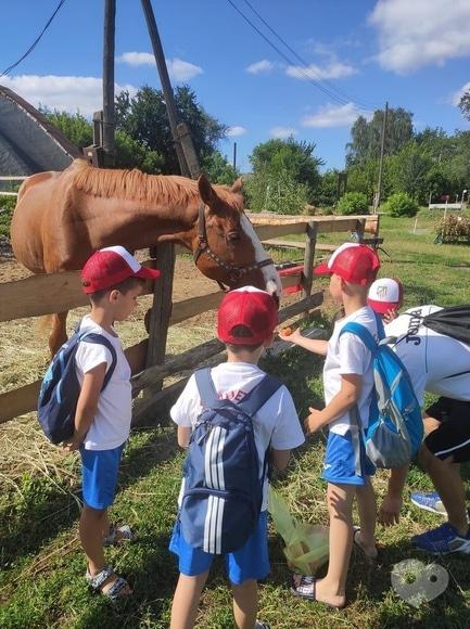 Для дітей - Спортивний табір для дітей від 5 до 8 років - фото Для дітей - Спортивний табір для дітей від 5 до 8 років