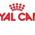 Корм Royal Canin