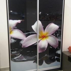 Шкаф купе 038