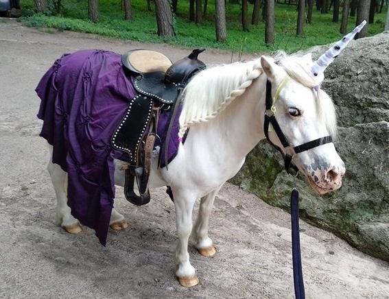 Кентаврик, поні-клуб - Виїзд на свято