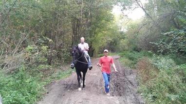PEGAS, домашняя конюшня - Конные прогулки по лесу