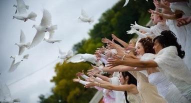 Эдем, агентство организации праздников - Выпускание живых голубей