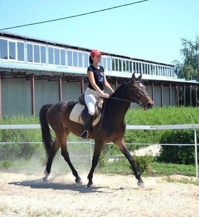 Сван, конно-спортивный клуб - Катание на больших и маленьких лошадях