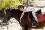 Сван, конно-спортивный клуб - Обучение верховой езде для взрослых и детей