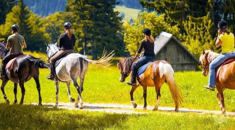 Сван, кінно-спортивний клуб - Прогулянка у ліс верхом на коні