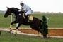 Сван, конно-спортивный клуб - Индивидуальные тренировки по различным дисциплинам конного спорта