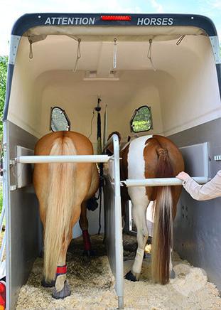 Кентаврик, поні-клуб - Перевезення коней