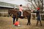 Сван, конно-спортивный клуб - Развивающая верховая езда