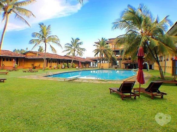 Акция - Тур на Шри-Ланку (Коггала) от "Мандрівник", фото Акция - Тур на Шри-Ланку (Коггала) от "Мандрівник"