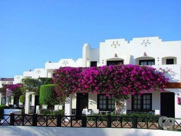 Акция - Тур в Египет, Шарм Эль Шейх от "Мандрівник"