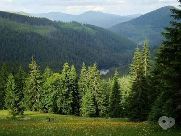 Акция - Алко-тур “Хмельное Закарпатье” от "Мандрівник"