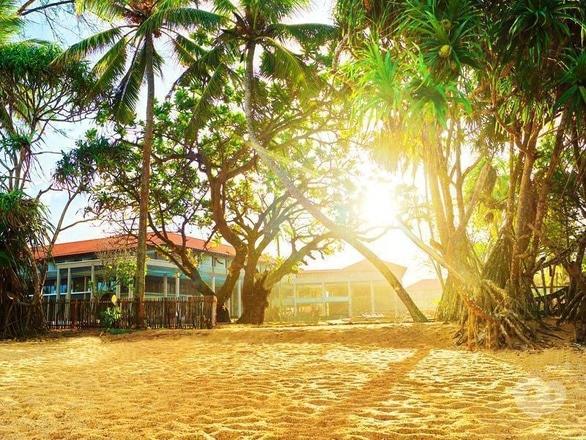 Акция - Тур на Шри-Ланку(Cinnamon Bey Hotel 5* DELUXE) от "Мандрівник", фото Акция - Тур на Шри-Ланку(Cinnamon Bey Hotel 5* DELUXE) от "Мандрівник"