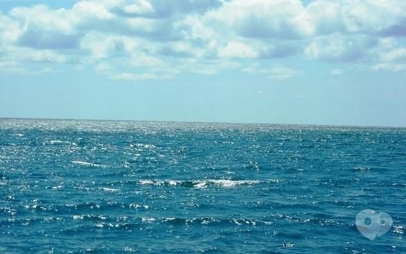 Акция - Отдых на Черном море (Коблево) от "Мандрівник"