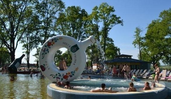 Акция - Тур "Закарпатские наслаждения" от "Мандрівник"