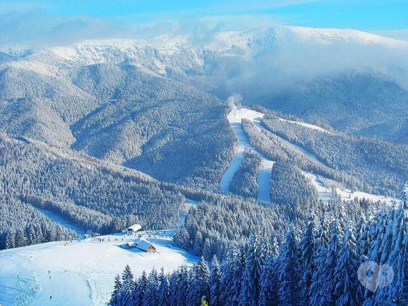 Акция - Автобусный горнолыжный тур в Буковель от "НАМИ"