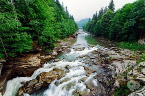 Акция - Тур "Яремче, Буковель + Говерла" от "Мандрівник"